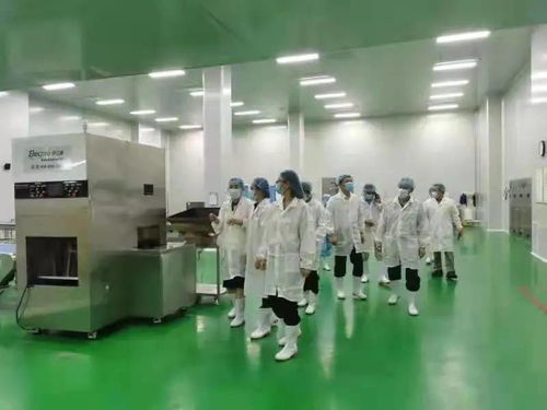 深化职能服务 赋能区域发展——国家市场监管总局食品经营司赴海口高新分局调研指导