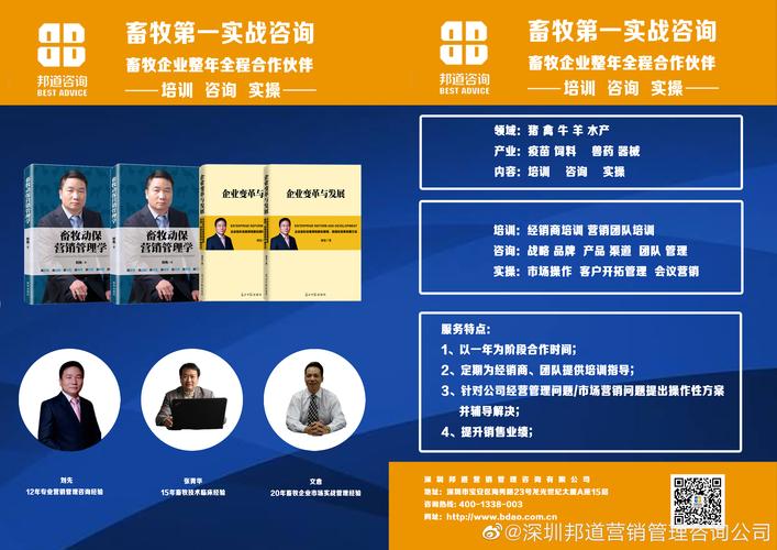 企业管理咨询的价值与实践指南 从战略到落地的全面解析