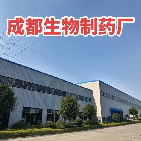 企业管理咨询 释放组织潜能，驱动持续增长